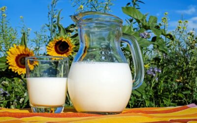 Produkty spożywcze w języku niemieckim