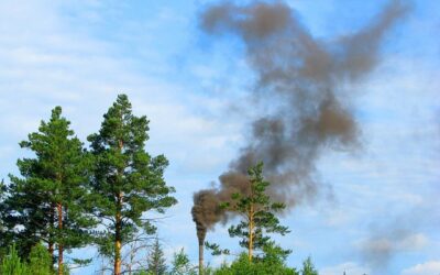 Zanieczyszczenie środowiska naturalnego w języku niemieckim